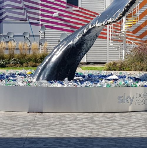 Sky Studios Trip